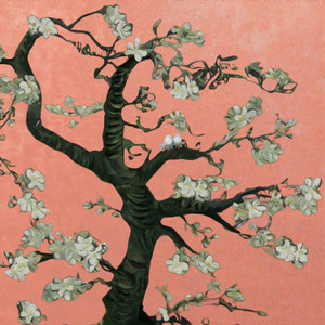 老太太乱伦免费视频
