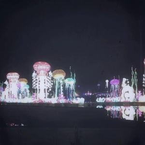 老太太乱伦免费视频
