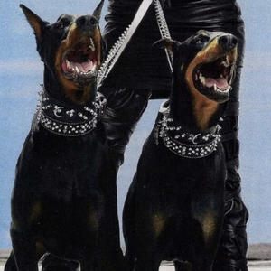 老太太乱伦免费视频
